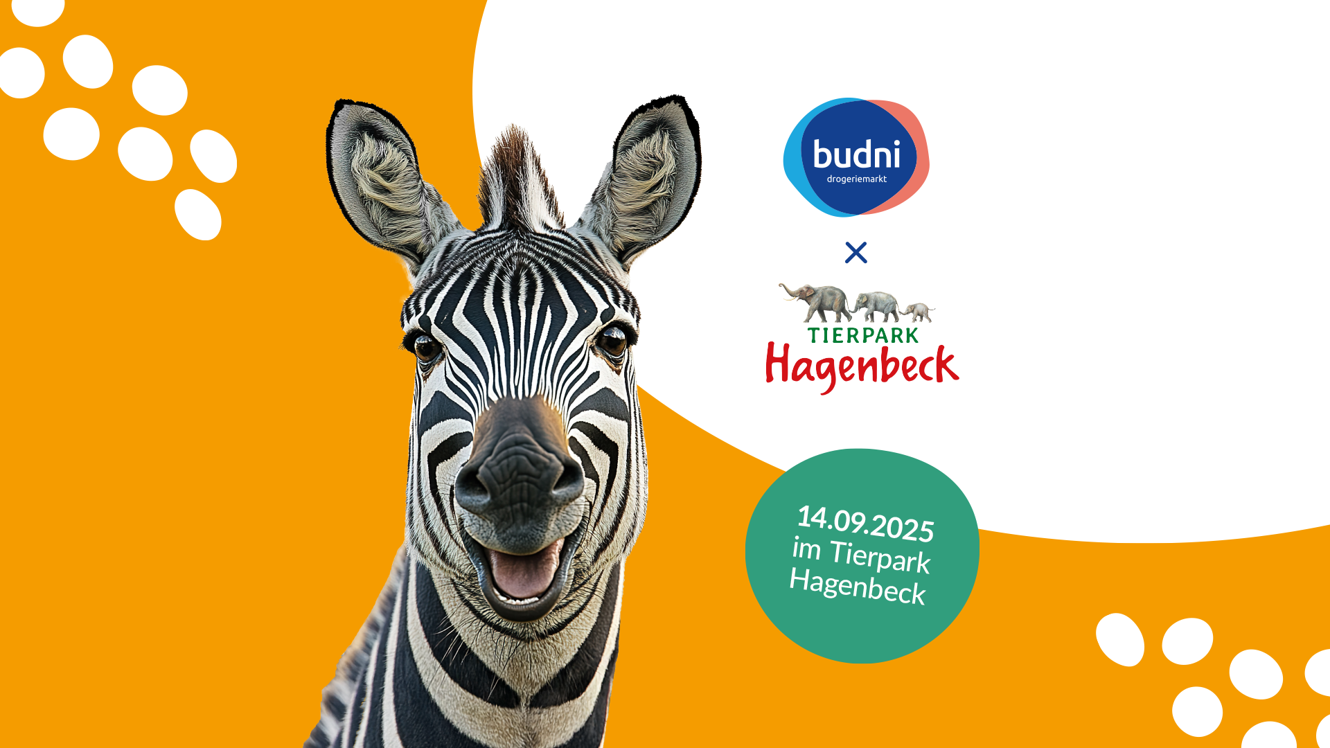 tickets gewinnen