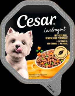 Landküche mit Geflügel und Gemüse von CESAR