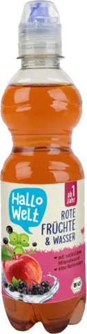 Bio Hallo W.Schorle F.0,33lDPG von HALLO WELT