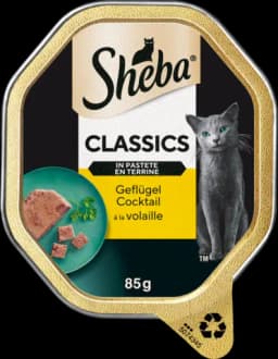 Classics in Pastete Geflügel Cocktail von SHEBA