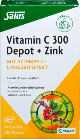 C-300 Depot+Zink von SALUS