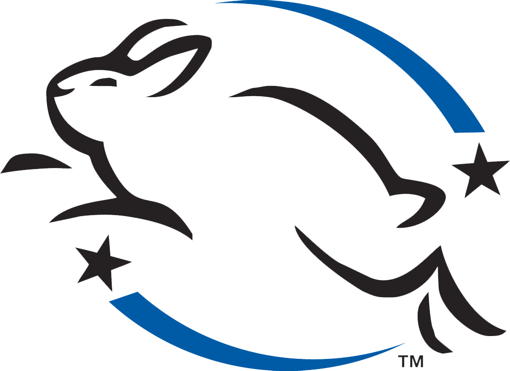 Leaping Bunny Leaping Bunny