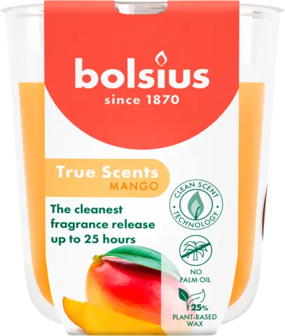 Duftkerze Mango orange von BOLSIUS