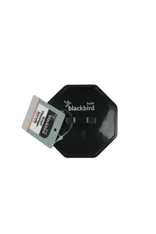 Kopf Massagebürste von BLACKBIRD