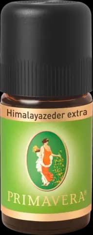 Himalayazeder Extra von PRIMAVERA