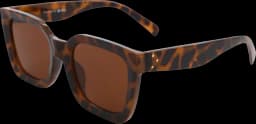 Damen Sonnenbrille Kunststoff demi braun von DIV.SAISONMARKEN