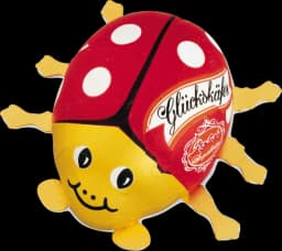 Glückskäfer von REBER