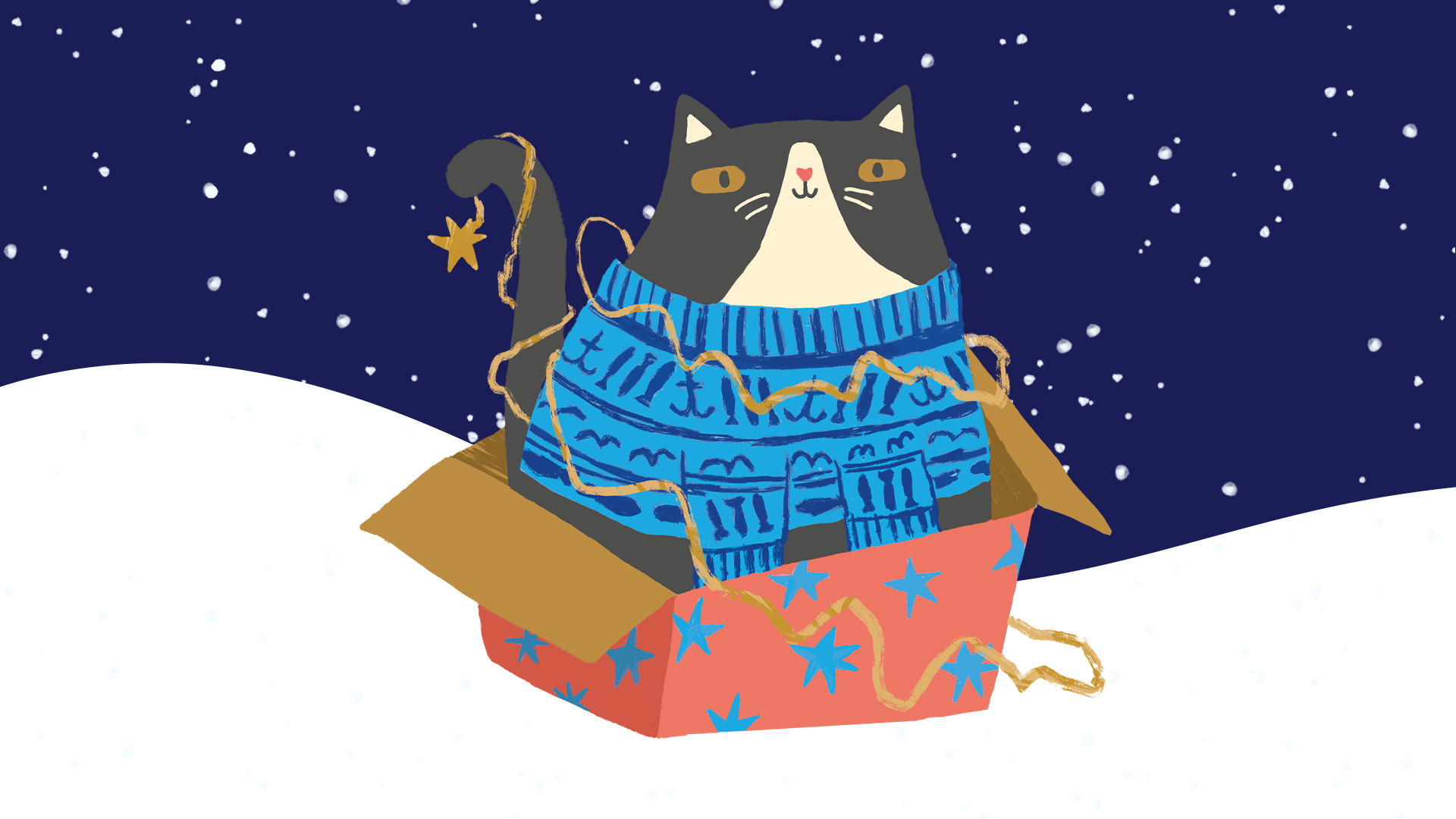 geschenkideen die begeistern