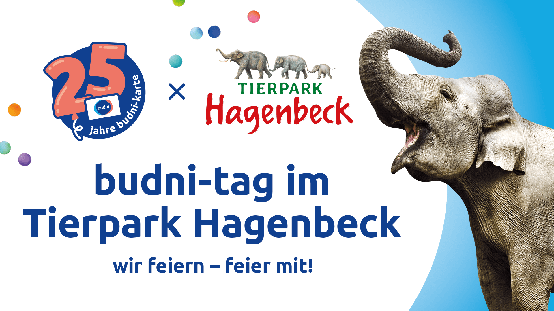 spare mit der budni-karte