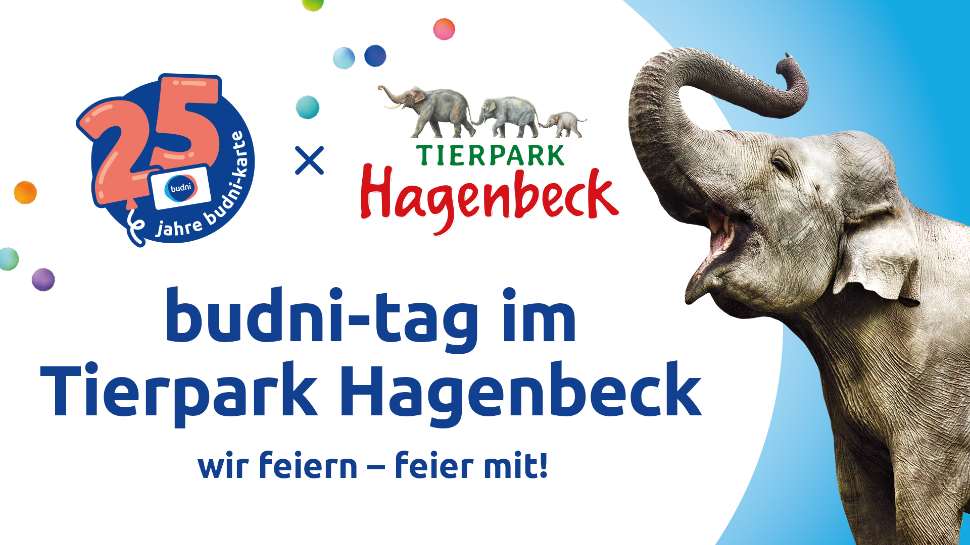 spare mit der budni-karte