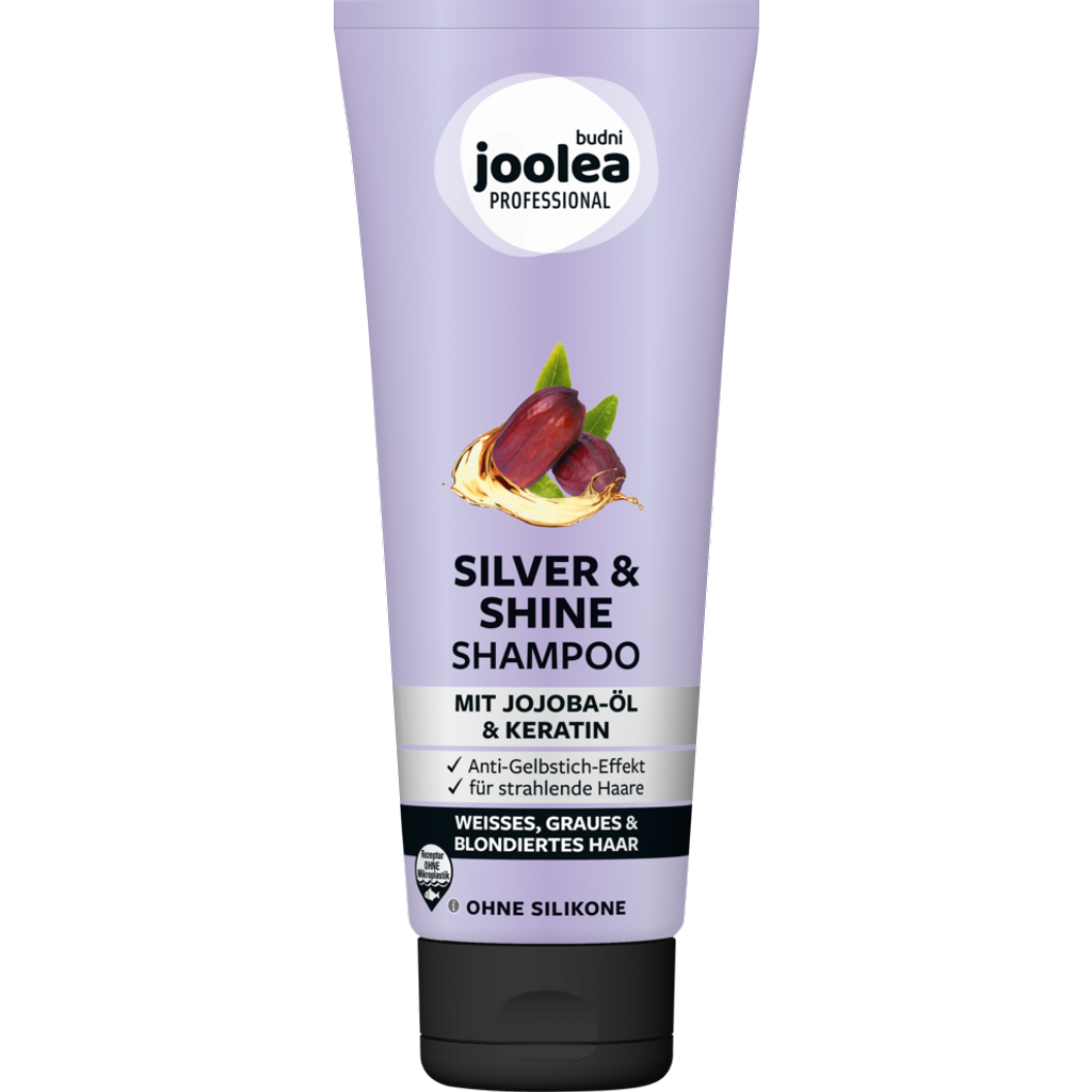 Professional Silver & Glanz Shampoo